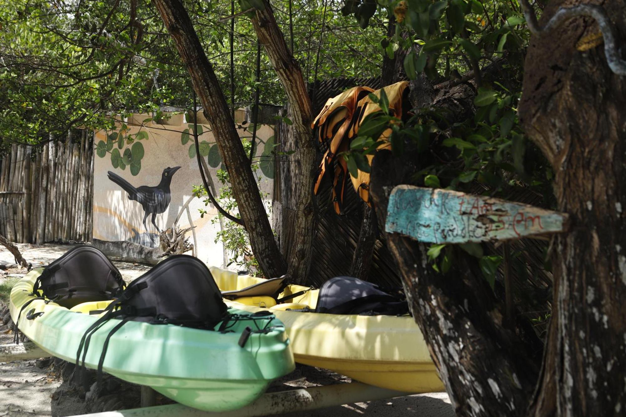 Cabana Salsipuedes Otel Tintipan Island Dış mekan fotoğraf