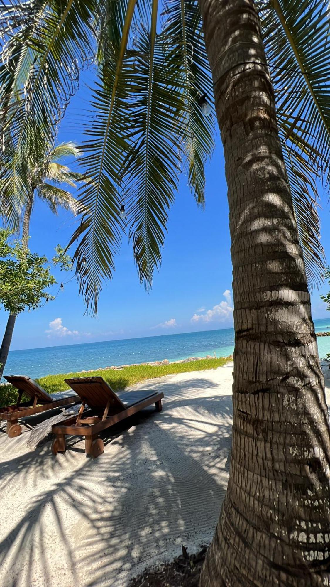 Cabana Salsipuedes Otel Tintipan Island Dış mekan fotoğraf